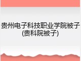 贵州电子科技职业学院被子(贵科院被子)