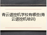 青云谱挖机学校有哪些(青云谱挖机培训)