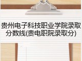 贵州电子科技职业学院录取分数线(贵电职院录取分)