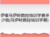 伊春乌伊岭数控培训学费多少钱(乌伊岭数控培训学费)