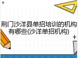 荆门沙洋县单招培训的机构有哪些(沙洋单招机构)