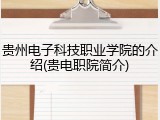贵州电子科技职业学院的介绍(贵电职院简介)