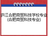 庐江合肥商贸科技学校专业(合肥商贸科技专业)