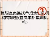 昆明宜良县找单招集训的机构有哪些(宜良单招集训机构)