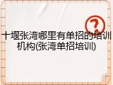十堰张湾哪里有单招的培训机构(张湾单招培训)