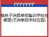 榆林子洲县单招集训学校在哪里(子洲单招学校位置)