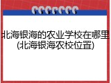 北海银海的农业学校在哪里(北海银海农校位置)