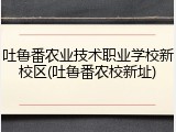 吐鲁番农业技术职业学校新校区(吐鲁番农校新址)