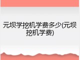 元坝学挖机学费多少(元坝挖机学费)