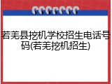 若羌县挖机学校招生电话号码(若羌挖机招生)