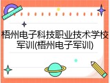 梧州电子科技职业技术学校军训(梧州电子军训)