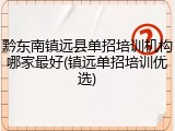 黔东南镇远县单招培训机构哪家最好(镇远单招培训优选)