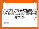大兴安岭塔河县数控模具技术学校怎么样(塔河数控模具学校)
