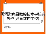 黑河逊克县数控技术学校有哪些(逊克数控学校)