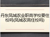 丹东凤城农业职高学校要住校吗(凤城农高住校吗)