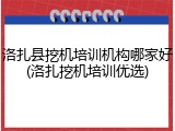 洛扎县挖机培训机构哪家好(洛扎挖机培训优选)