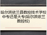 哈尔滨依兰县数控技术学校中专还是大专(哈尔滨依兰数控校)