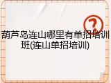 葫芦岛连山哪里有单招培训班(连山单招培训)