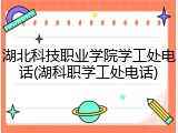 湖北科技职业学院学工处电话(湖科职学工处电话)