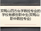 双鸭山四方台学数控专业的学校有哪些职中生(双鸭山职中数控专业)