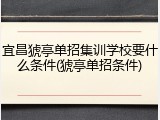 宜昌猇亭单招集训学校要什么条件(猇亭单招条件)
