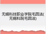 无锡科技职业学院毛圆洁(无锡科院毛圆洁)