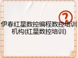伊春红星数控编程数控培训机构(红星数控培训)