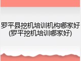 罗平县挖机培训机构哪家好(罗平挖机培训哪家好)