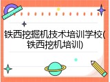 铁西挖掘机技术培训学校(铁西挖机培训)