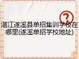 湛江遂溪县单招集训学校在哪里(遂溪单招学校地址)