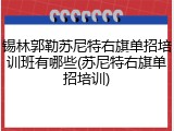 锡林郭勒苏尼特右旗单招培训班有哪些(苏尼特右旗单招培训)
