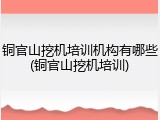 铜官山挖机培训机构有哪些(铜官山挖机培训)