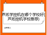 芦淞学挖机在哪个学校好(芦淞挖机学校推荐)