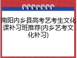南阳内乡县高考艺考生文化课补习班推荐(内乡艺考文化补习)