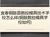 宜春铜鼓县数控模具技术学校怎么样(铜鼓数控模具学校如何)