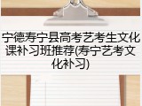 宁德寿宁县高考艺考生文化课补习班推荐(寿宁艺考文化补习)