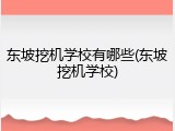 东坡挖机学校有哪些(东坡挖机学校)