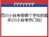 四川小自考报哪个学校的最多(川小自考热门校)