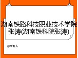 湖南铁路科技职业技术学院张涛(湖南铁科院张涛)
