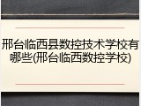 邢台临西县数控技术学校有哪些(邢台临西数控学校)
