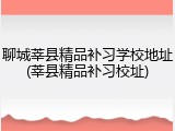 聊城莘县精品补习学校地址(莘县精品补习校址)