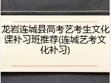 龙岩连城县高考艺考生文化课补习班推荐(连城艺考文化补习)