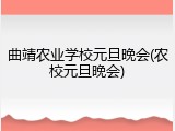 曲靖农业学校元旦晚会(农校元旦晚会)
