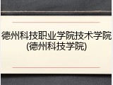 德州科技职业学院技术学院(德州科技学院)