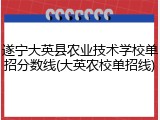 遂宁大英县农业技术学校单招分数线(大英农校单招线)
