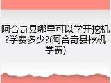 阿合奇县哪里可以学开挖机?学费多少?(阿合奇县挖机学费)