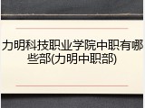 力明科技职业学院中职有哪些部(力明中职部)