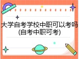 大学自考学校中职可以考吗(自考中职可考)
