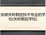 安顺关岭数控技术专业的学校(关岭数控学校)