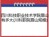 四川科技职业技术学院眉山有多大(川科职院眉山规模)